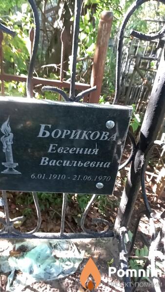 Борикова Евгения Васильевна