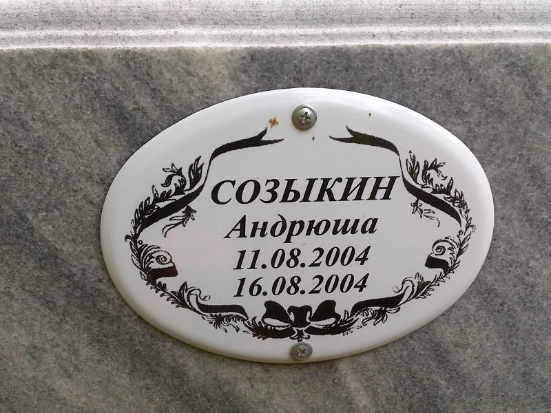Андрюша Созыкин