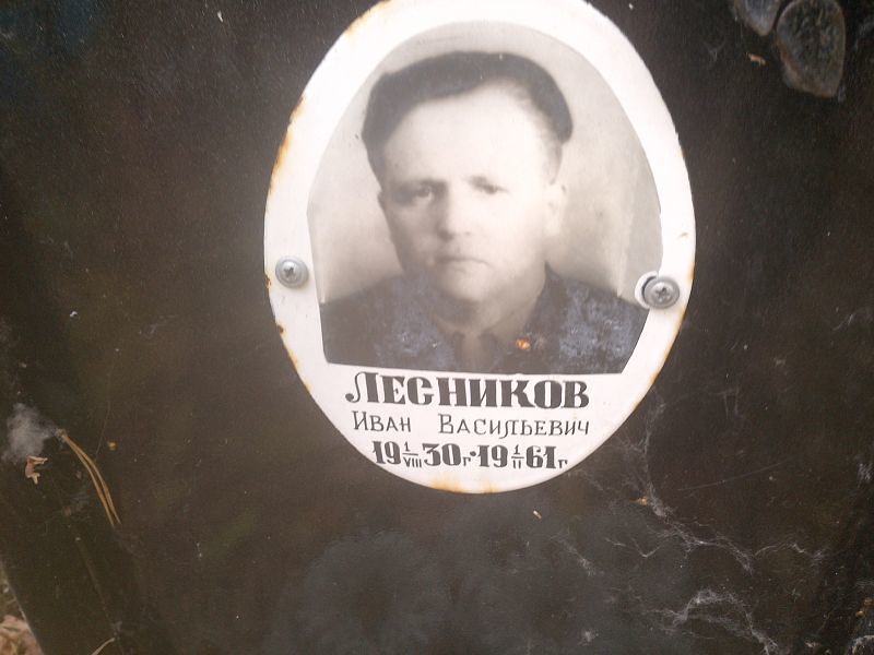 Лесников