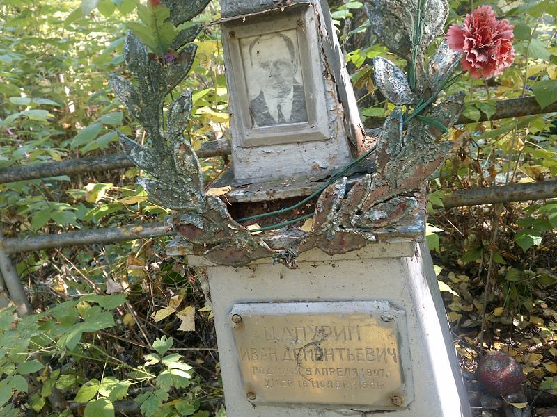 Цапурин