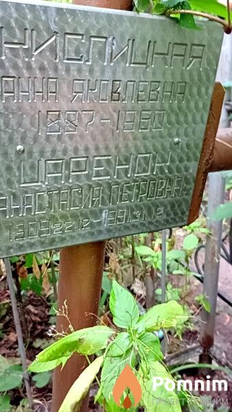 Царенок Анастасия Петровна