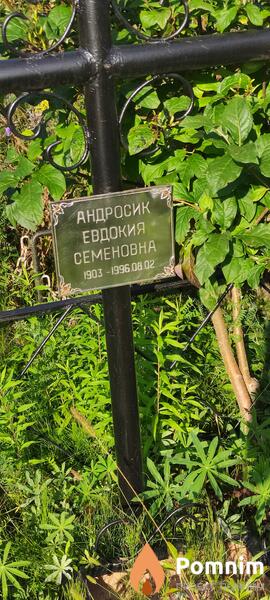 Андросик Евдокия Семеновна