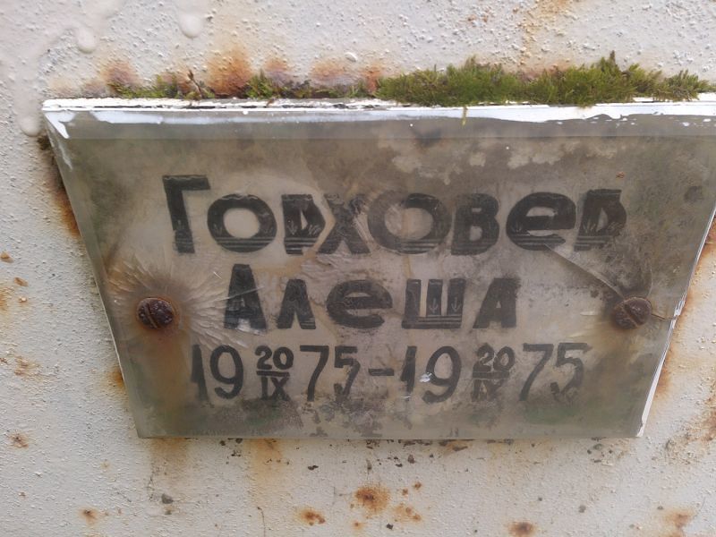 Алеша Горховер
