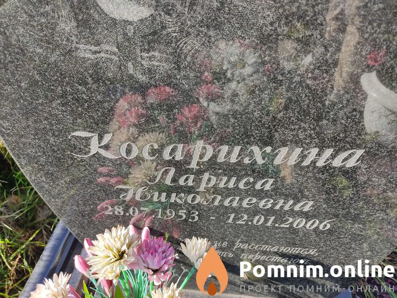 Косарихина Лариса Николаевна