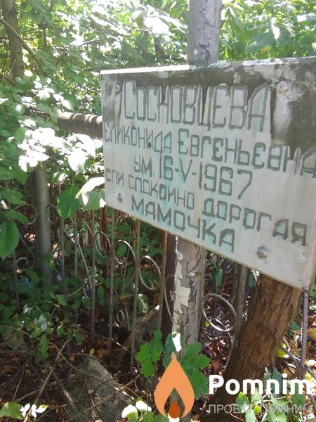 Сосновцева Еликонида Евгеньевна