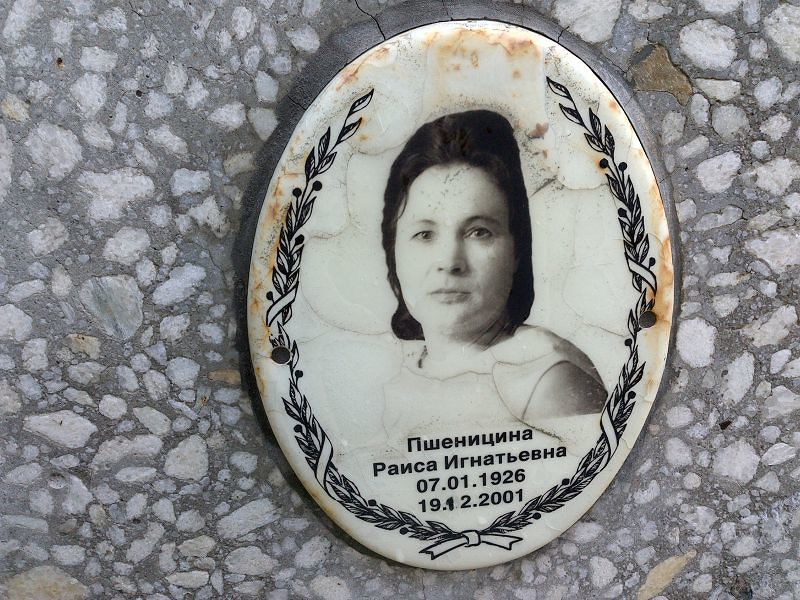 Пшеницина