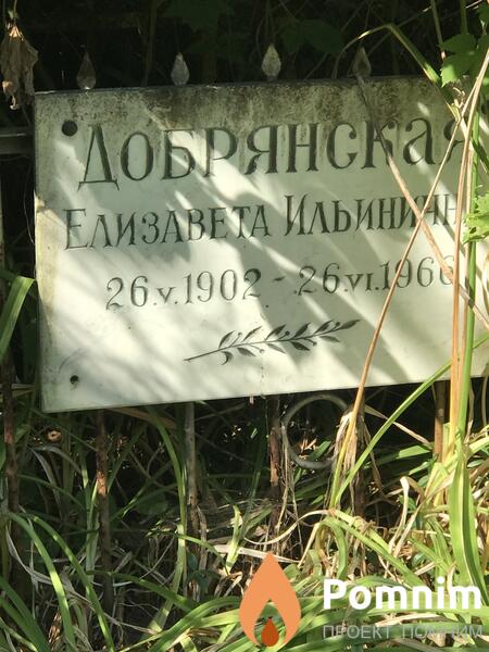 Добрянски Елизавета Ильична