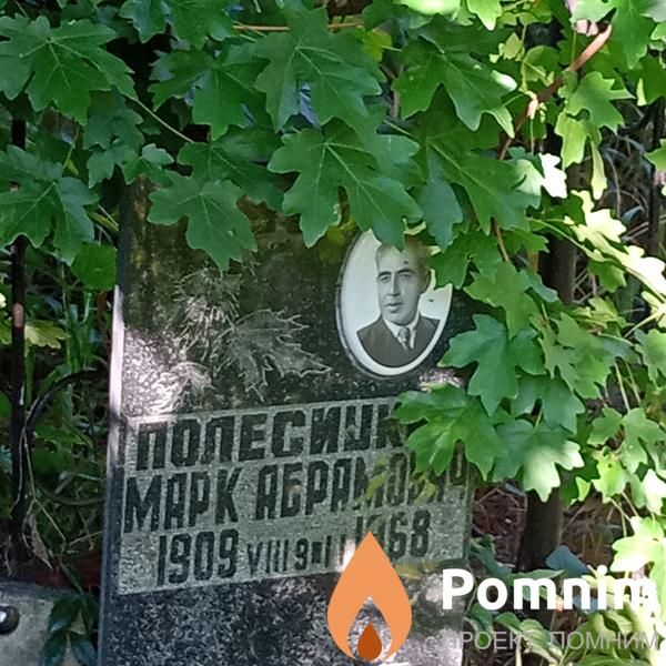 Полесицкий Mapк Абрамович