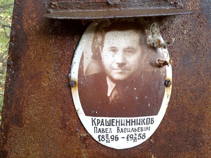 Крашенинников