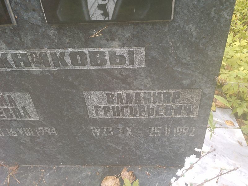 Бражников