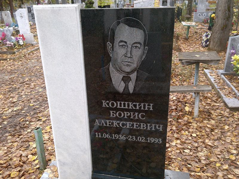 Кошкин