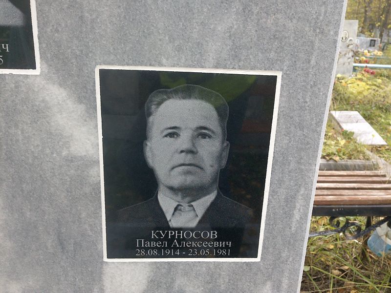 Курносов