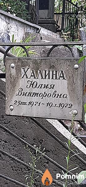 Халина Юлия Викторовна