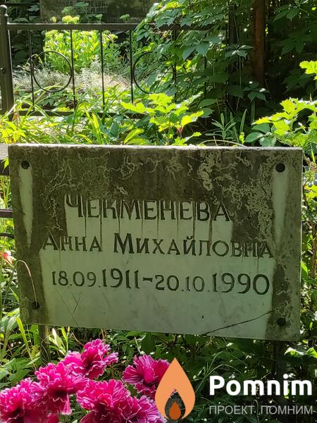 Чекменева Анна Михайловна