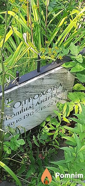 Отрохова Полина Андреевна