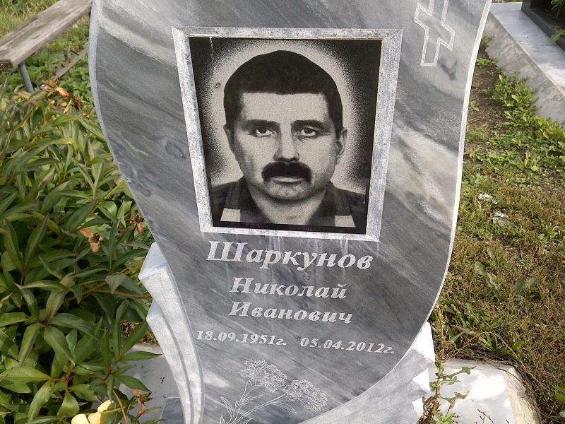 Шаркунов
