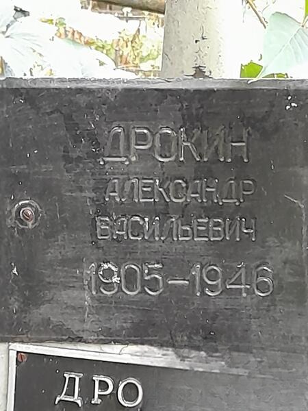 Дрокин Александр