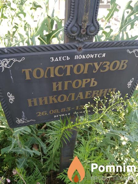 Толстогузов Игорь Николаевич