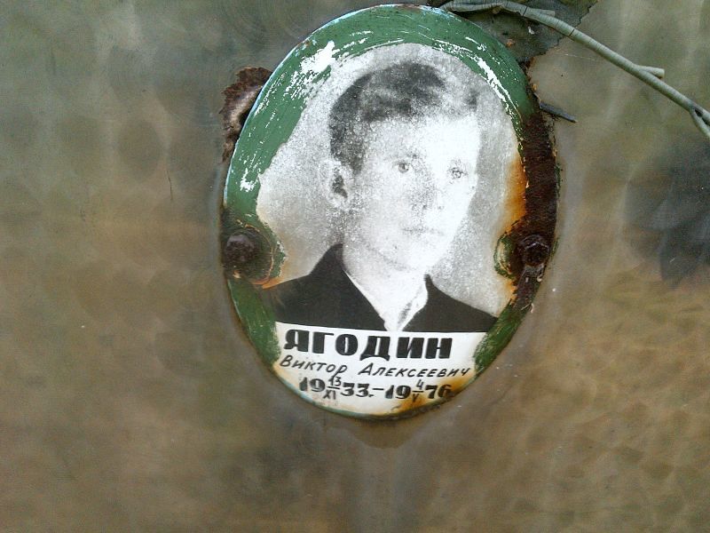 Ягодин