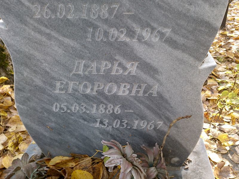 Стихина