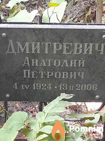 Дмитриевич Анатолий Петрович