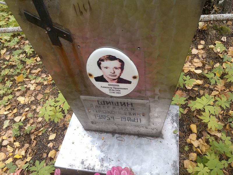 Шишин