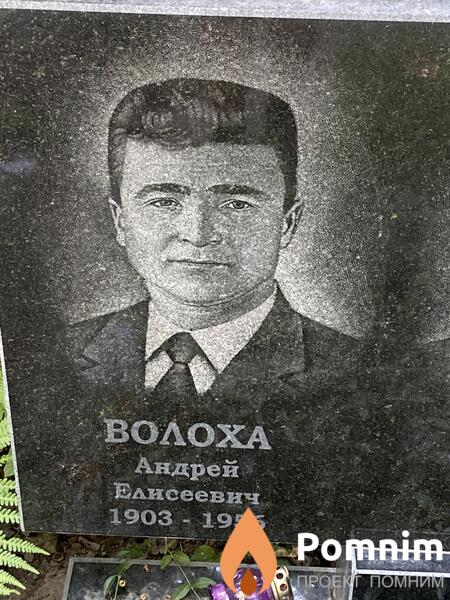 Волоха Андрей Елисеевич