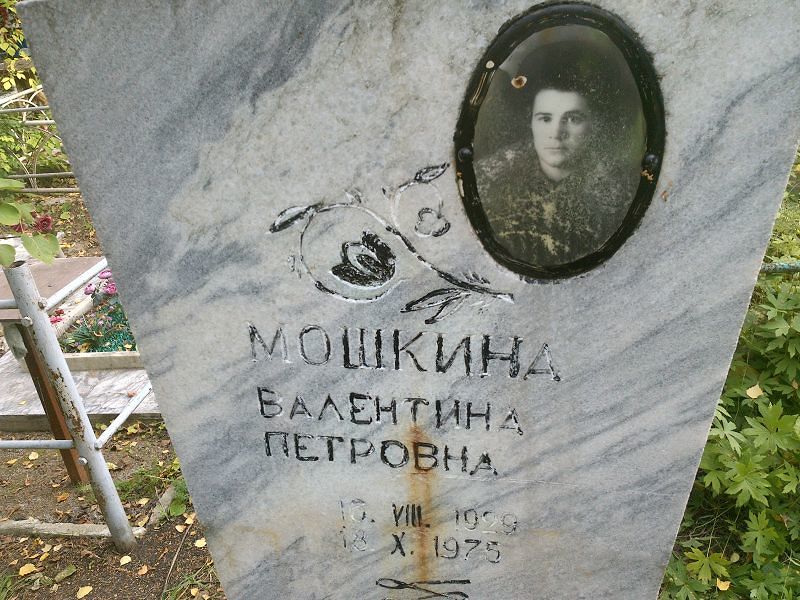 Мошкина
