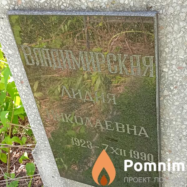 Владимирская Лидия Николаевна