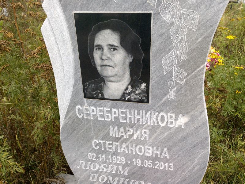 Серебренникова