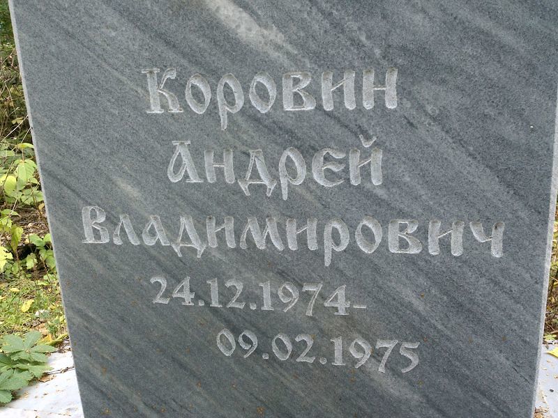 Коровин