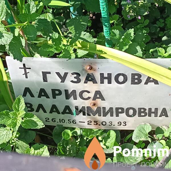 Гузанова Лариса Владимировна