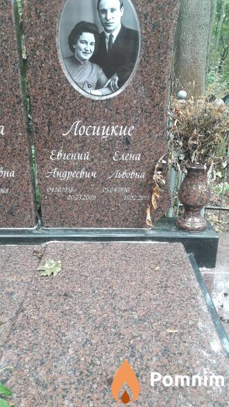 Лосицкая Елена Львовна