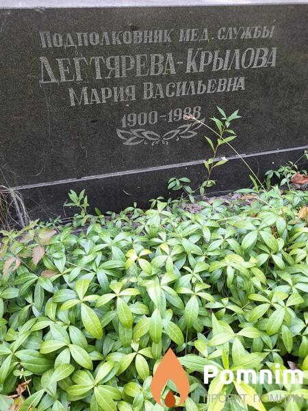 Дегтяревакрылова Мария Васильевна