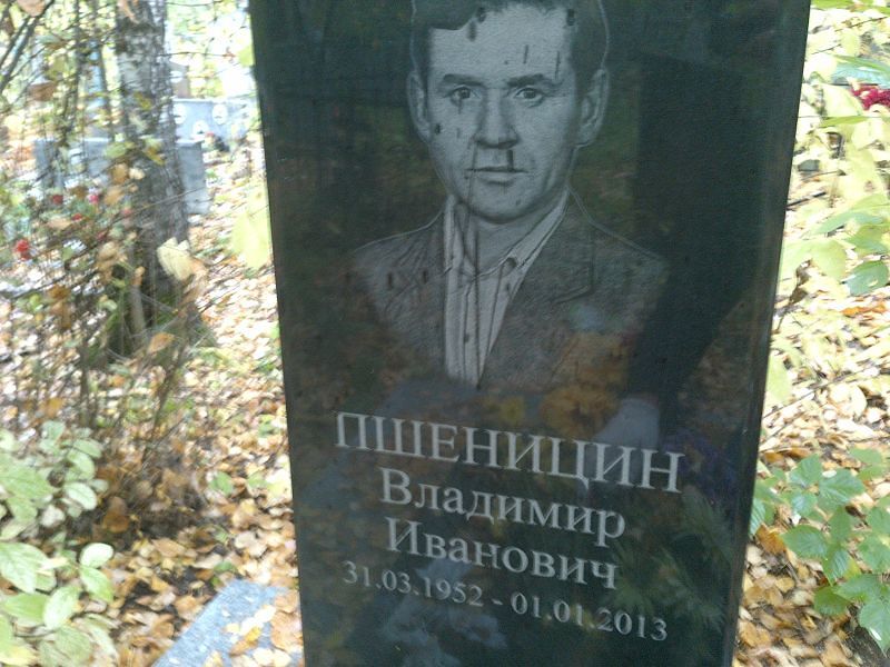 Пшеницин