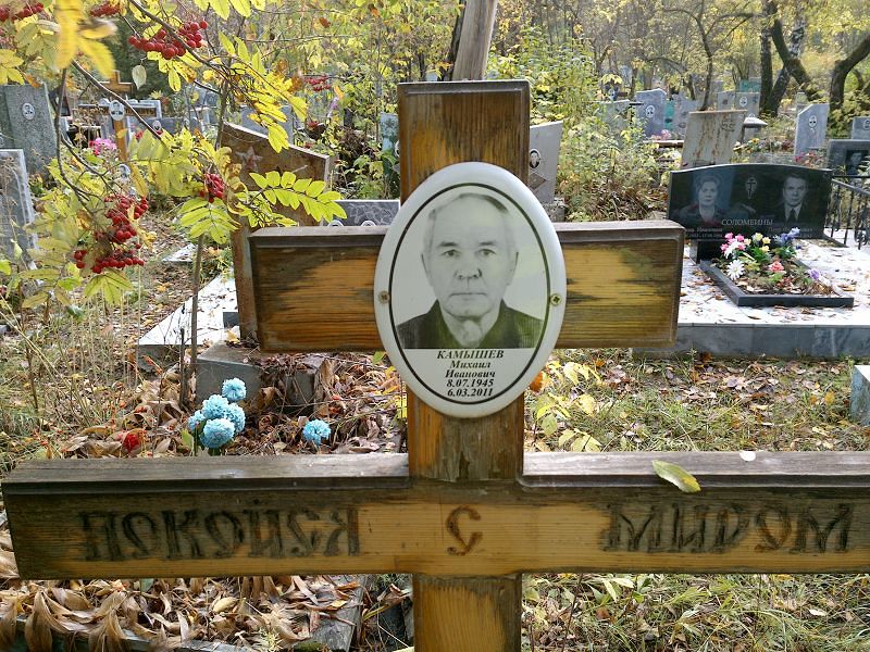 Камышев