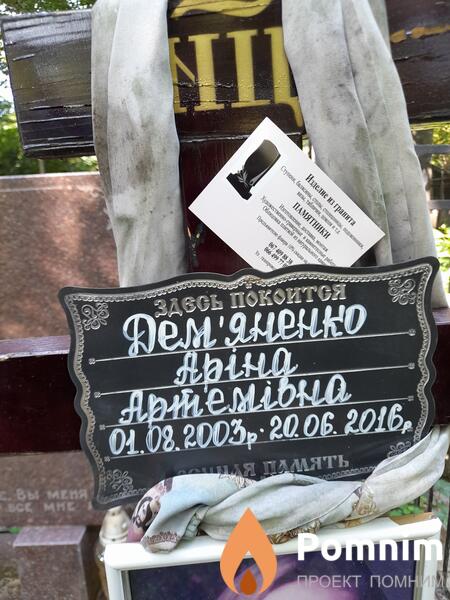 Демяненко Арина Артемьевна