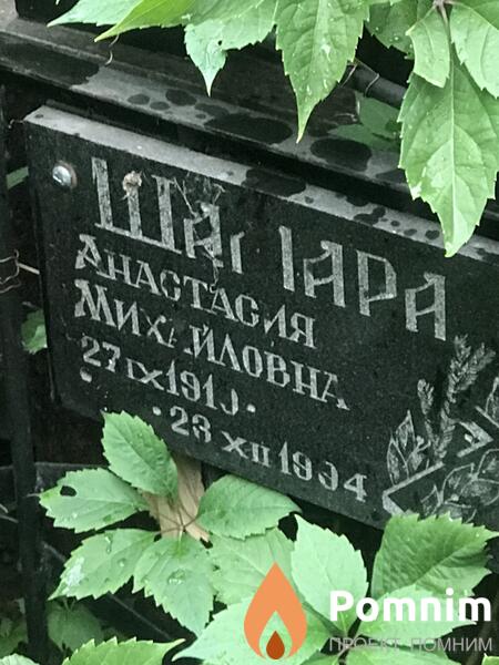 Шамара Анастасия Михайловна
