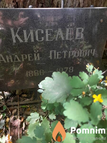 Кисеаев Андрей Петрович