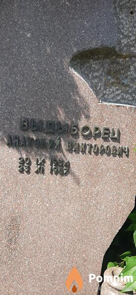 Выдыборец Анатолий Викторович
