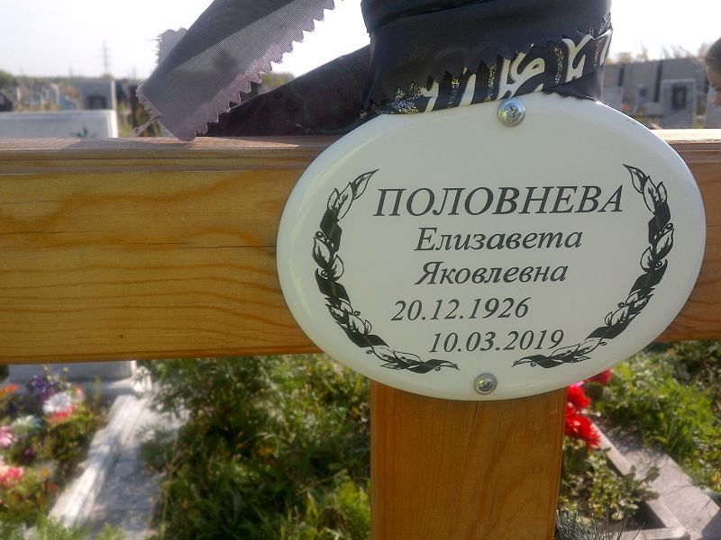 Половнева