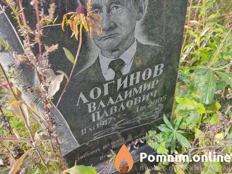 Логинов Владимир Павлович