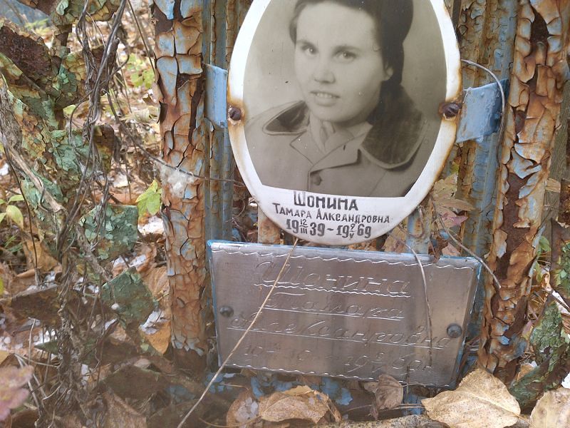 Шонина