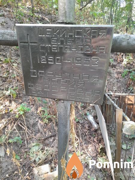 Щекинская Елена Степанoвна