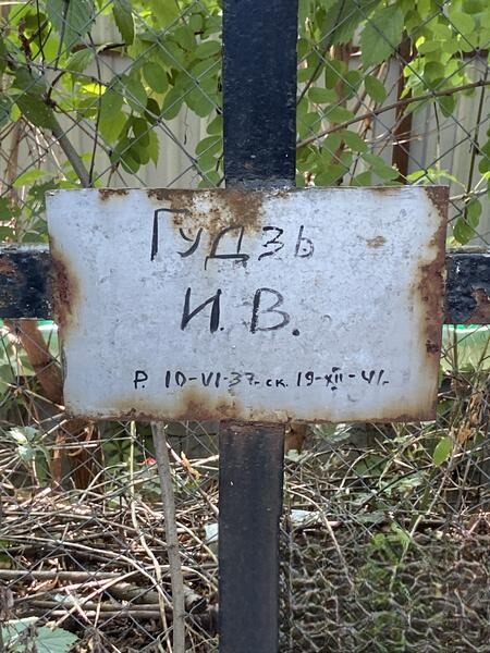 Гудзь None