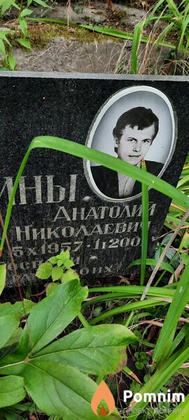 Гуркин Анатолий Николаевич