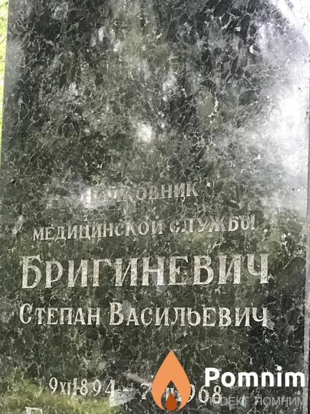 Бригиневич Степан Васильевич