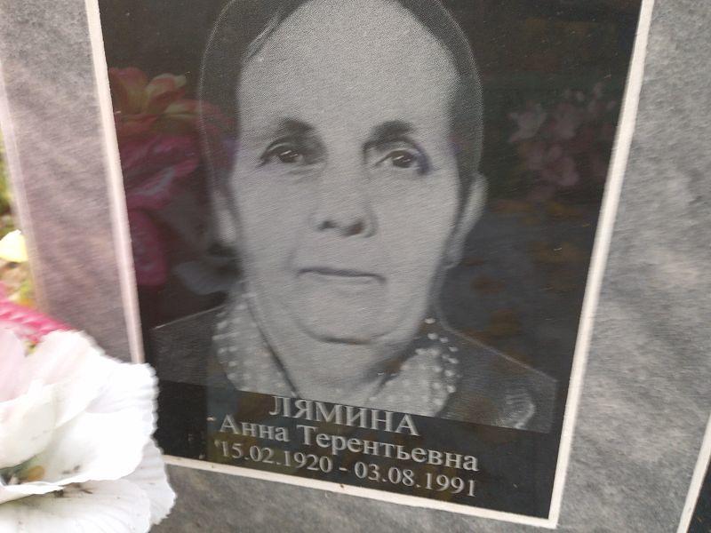 Лямина