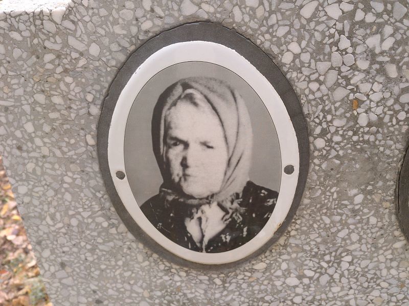Голошеикина