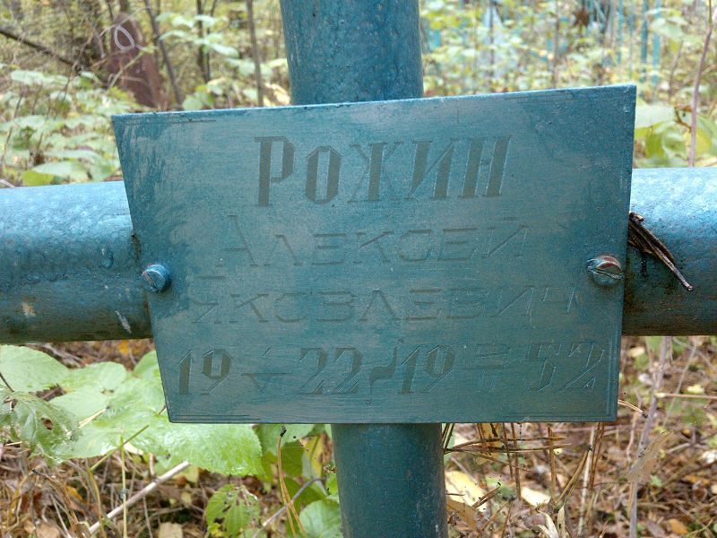 Рожин